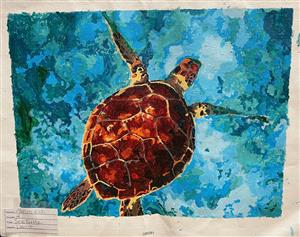 turtle