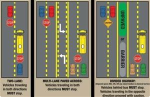 Bus Law